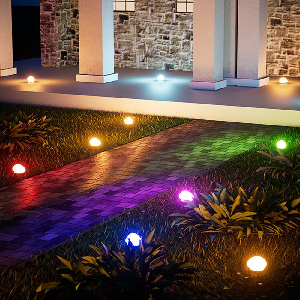 view